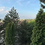Central Luxury Apartment With City View