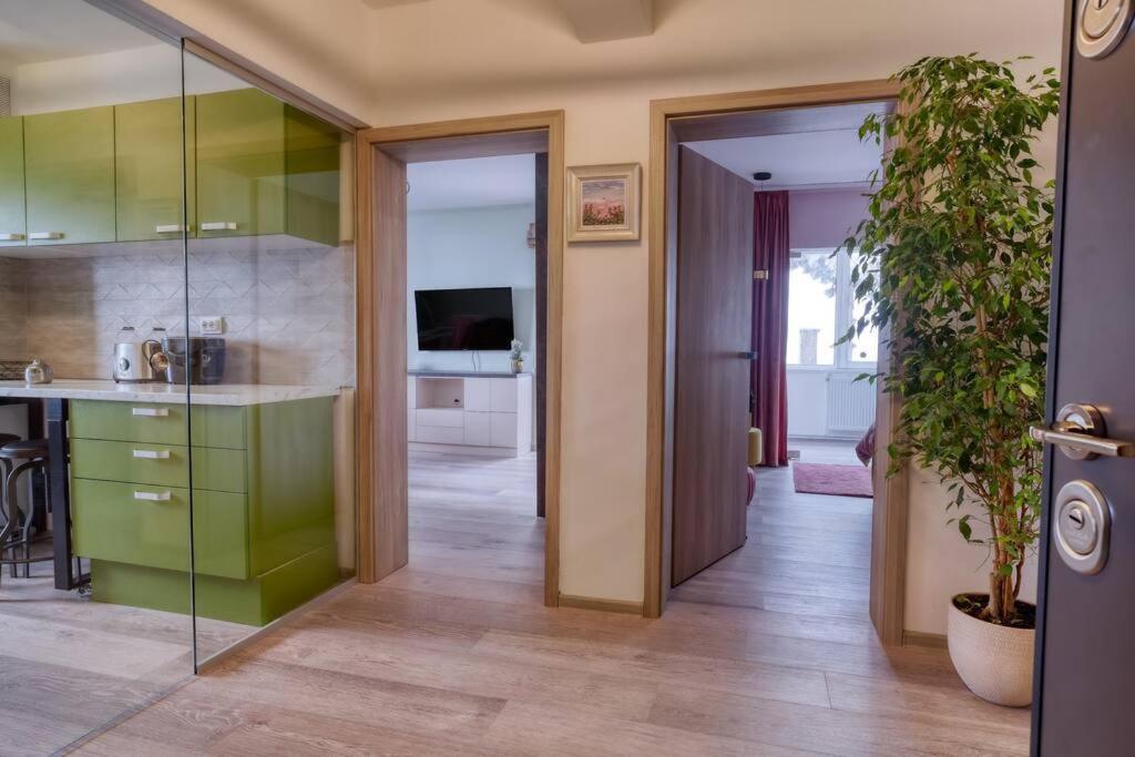 Luxury With View Apartment Brasov