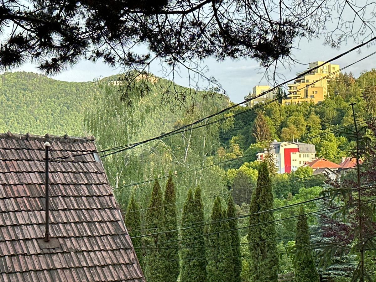 Luxury With View Apartment Brasov