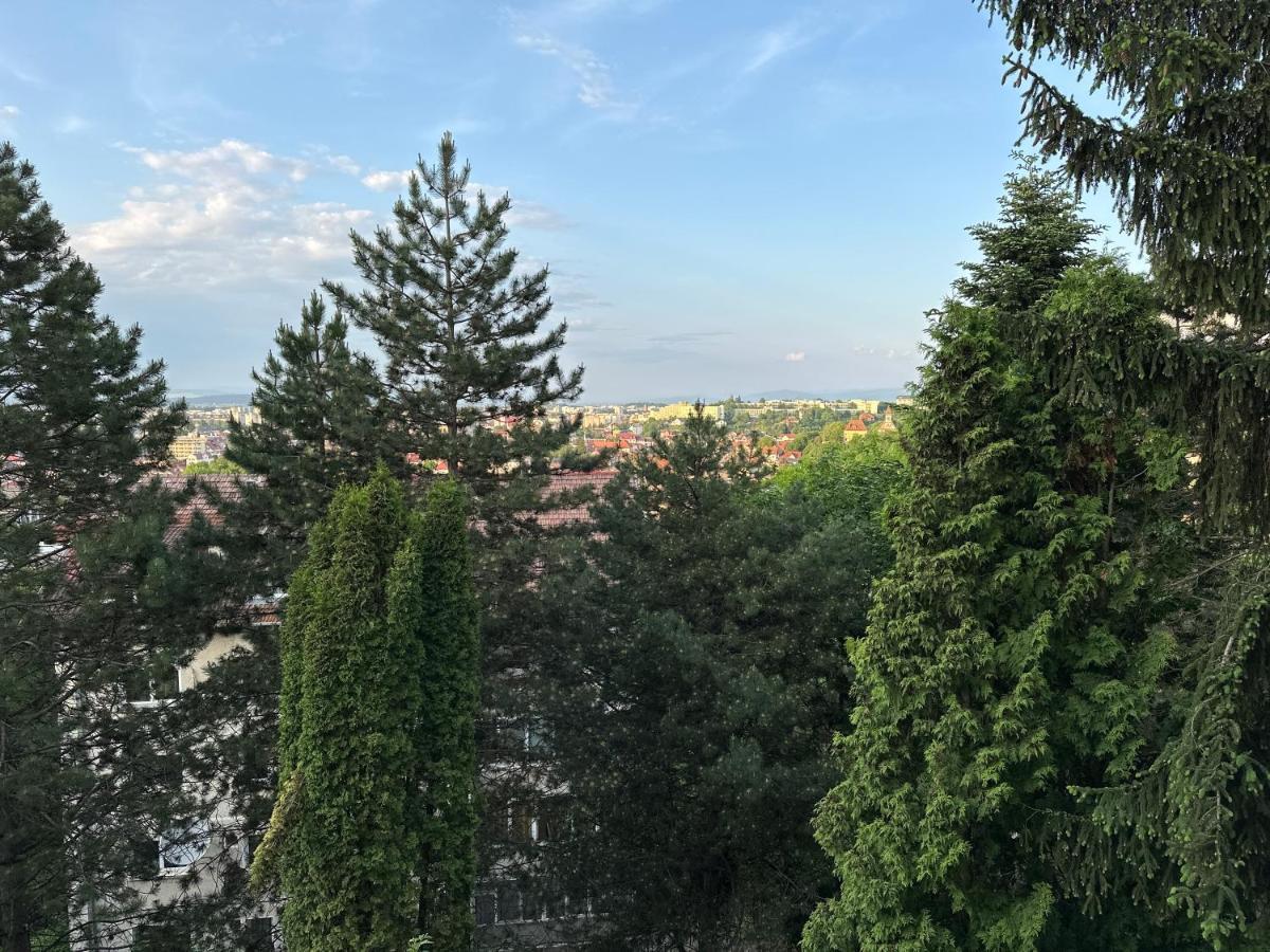 Luxury With View Apartment Brasov